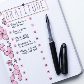 Pentel Tradio Pulaman, Black Ink, TRJ50-A, fountain pen with plastic nib