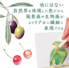 Tombow Irojiten CI-RTC-30C Colour Pencils (Box of 30)