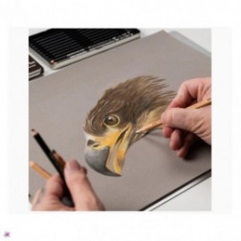 Cretacolor 12 Eagle Drawing Set 2605