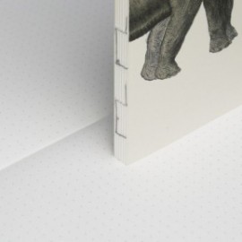 Paper Republic Animal Companions Elephants Book Refill Pocket Dotted