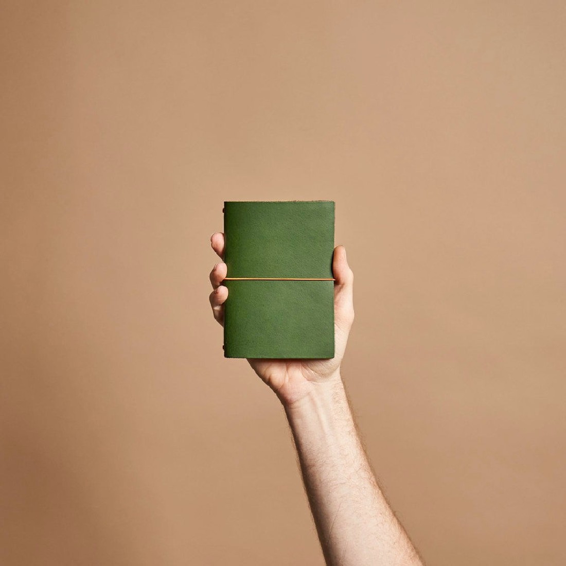 Paper Republic grand voyageur pocket botany green leather journal PP