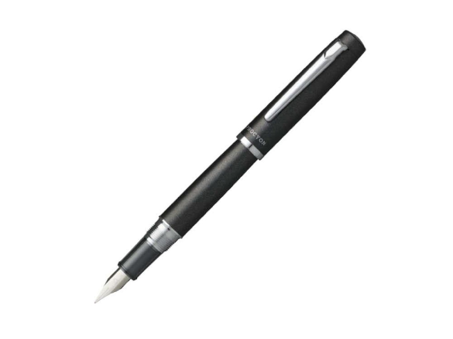 Platinum Procyon Shadow Mica PNS-5000  Fountain Pen