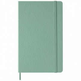 Moleskine notebook 13x21 large, Sage, hard cover, plain, 240pages