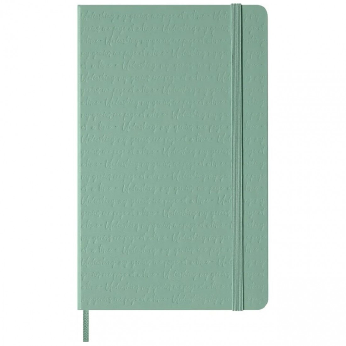 Moleskine notebook 13x21 large, Sage, hard cover, plain, 240pages