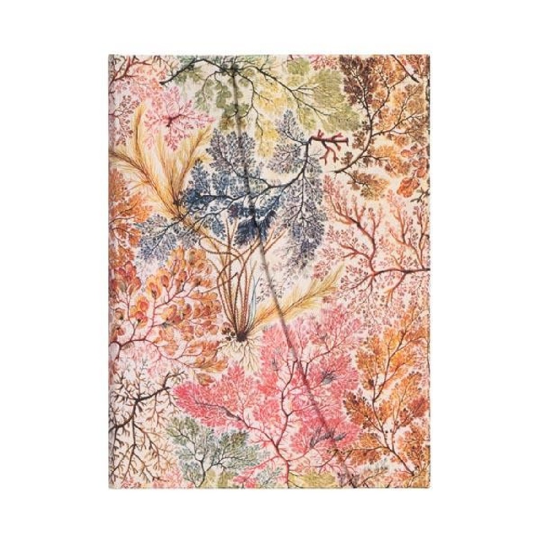 Paperblanks Notebook Anemone Lined Midi(13x18) Wrap