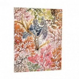 Paperblanks Notebook Anemone Ultra Lined