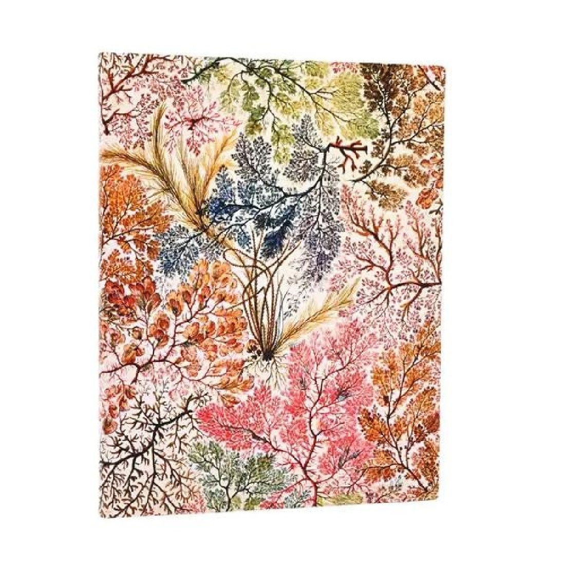 Paperblanks Notebook Anemone Ultra Lined