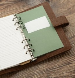 Filofax Organizer Personal Camden Olive 022407