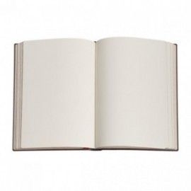 Paperblanks Asterix The Gual, Midi Lined
