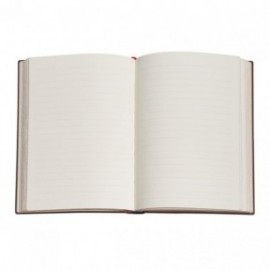 Paperblanks Asterix The Gual Mini Lined