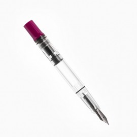 Twsbi Eco , with onyx plum  trims, piston filling fountain pen