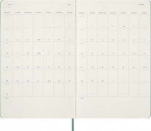 Moleskine weekly diary 2026-2027, 18 months, hard cover, large 13x21 sage green
