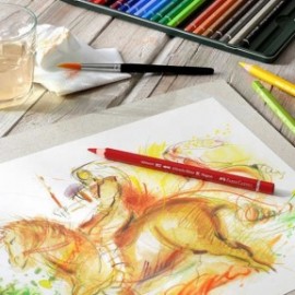 Faber Castell watercolour pencil Albrecht Durer