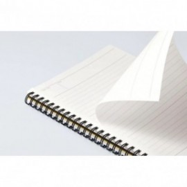 Mnemosyne spiral notebook white 295-06 A5 5mm 80sheets ruled 80gr MN