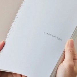 Mnemosyne spiral notebook white 295-06 A5 5mm 80sheets ruled 80gr MN