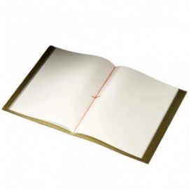 Paper Republic grand voyageur A4 Botany Green leather journal