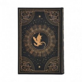 Paperblanks diary 12-Month 2027 daily mini  9x14cm, 432 pages, hardcover Shadows of Navarre