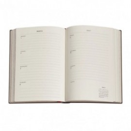 Paperblanks diary 12-Month 2027 weekly horizontal midi  13x18cm, 176  pages, softcover Lynx Rising