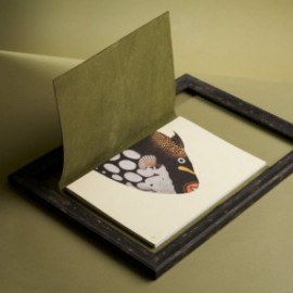 Paper Republic Reef Book Refill A4 Ruled pap