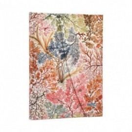 Paperblanks diary 12-Month 2027 weekly Verso  midi  13x18cm, 176  pages, hardcover Anemone, William Kilburn