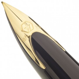 Waterman Carene Amber Tortoise GT Fountain pen FP