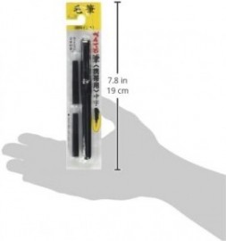 Pentel Pocket Brush Pen for Calligraphy with 2 black cartridges, XGFKP-A
