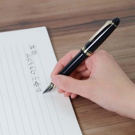 Sailor Profit Casual L Stable black GT Fountain pen with converter 11-0825-420