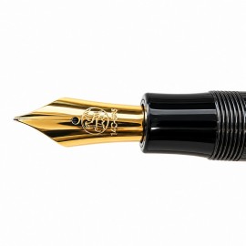 Eboya Natsume S size, Black 14k fountain pen