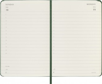 Moleskine daily diary 2027 pocket 9x14, hard cover green