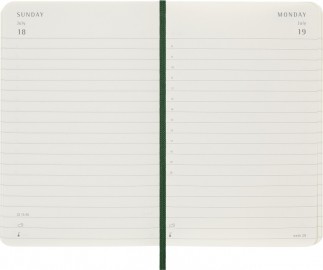 Moleskine daily diary 2027 pocket 9x14, soft cover green