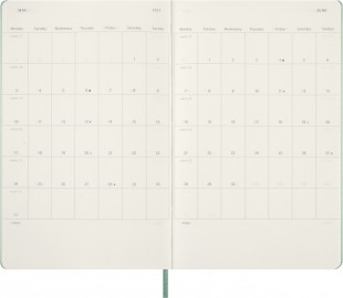 Moeskine Classic Planner 2027 Large 13x21cm, Weekly, hard cover, 12 months, Sage Green