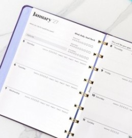 Filofax Ultimate Life Companion A5 Planner My Plans Plum 2027 27-68314