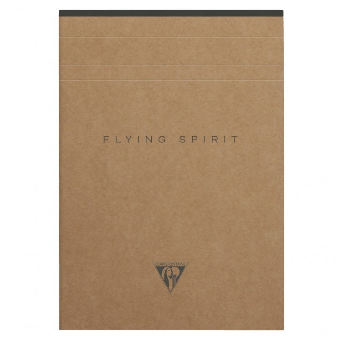 Clairefontaine Rhodia notepad A5 21x14,8cm, Flying spirit, 140 pages, Lined, ivoire paper 90gr, brown craft cover, 103636