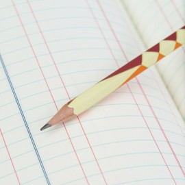 Palomino Blackwing vol. 574 The Native American Art Pencil