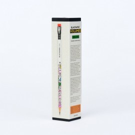 Palomino Blackwing Volume  292 - Keith Haring - Set of 12