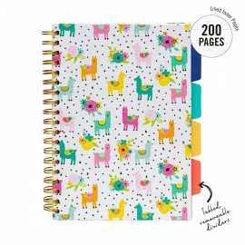 Pukka Pad notebook spiral A5 με 4 θέματα, ριγέ, Carpe Diem, 200 σελίδες, 9032(LA)