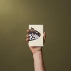 Paper Republic Reef Book Refill Pocket Ruled
