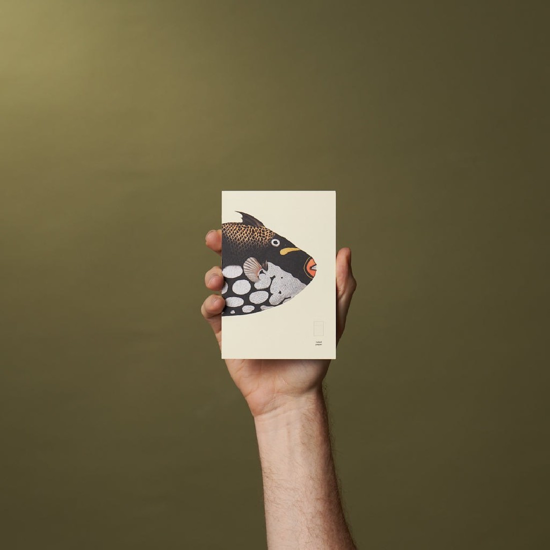 Paper Republic Reef Book Refill Pocket Ruled