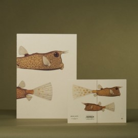 Paper Republic Reef Book Refill Pocket Dotted
