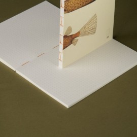 Paper Republic Reef Book Refill Pocket Dotted