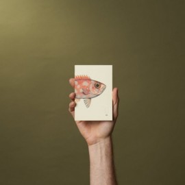 Paper Republic Reef Book Refill Pocket Plain