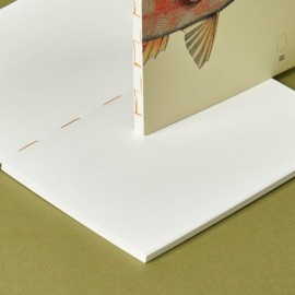 Paper Republic Reef Book Refill Pocket Plain