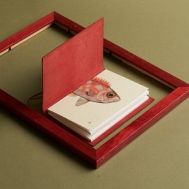 Paper Republic Reef Book Refill Pocket Plain