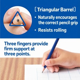 Tombow ippo pastel wooden pencils 12pcs, 2B, Triangular for correct holding, MP-SEPB01-2B