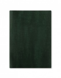 Letts Lecassa 2027 A5 Day Per Page Diary With Appointments Green 27-081740