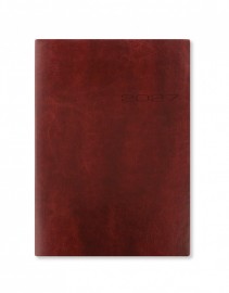 Letts Lecassa 2027 A5 Day Per Page Diary With Appointments Brown 27-080411