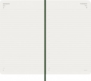 Moleskine Classic Planner 2027 Large 13x21cm, Daily, soft cover, 12 months, Myrtile Green