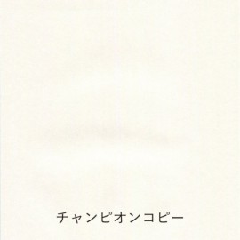 Yamamoto Paper Tasting Thin Paper for writing Pen Friendly Onionskin vol.3