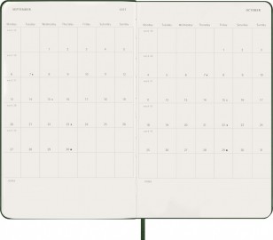 Moleskine Classic Planner 2027 Large 13x21cm, Daily, hard cover, 12 months, Myrtile Green
