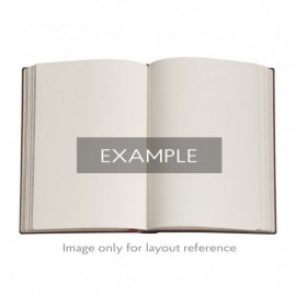 Paperblanks Flexis Michelangelo Ultra Unlined